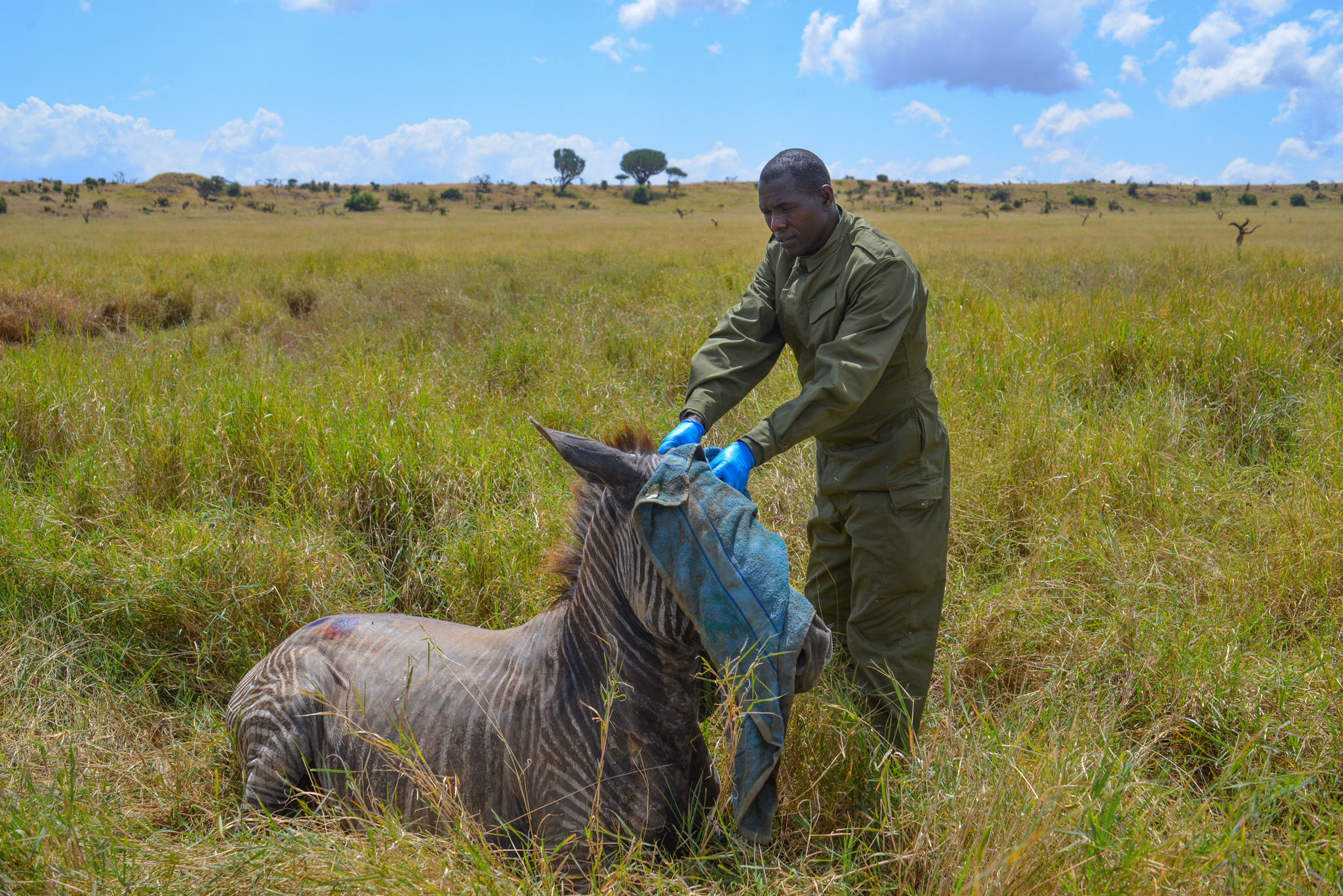 Conservation at Lewa Featured on CNN’s ‘Inside Africa’