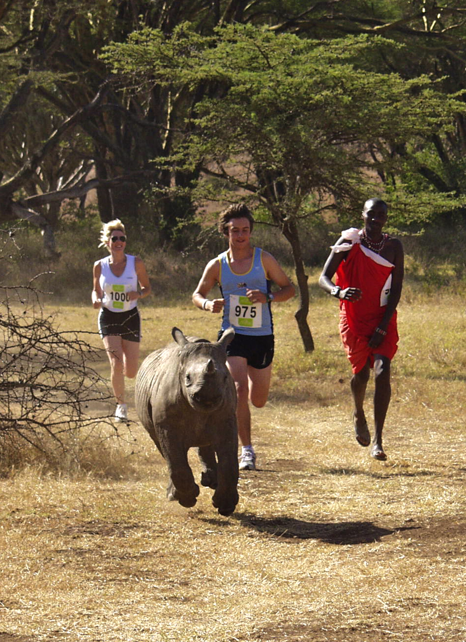 Lewa Safari Marathon 2024 Cancelled